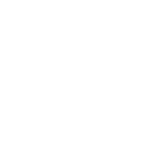 Butterfly Holistics Logo White
